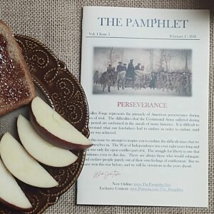 THE PAMPHLET ~ V1I5 ~ ‘Perseverance’ ~ Print Edition